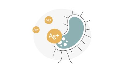 silver ion is absorbed by pathogen